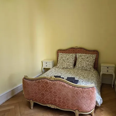 Charmante Historique Avec Jardin Apartment *