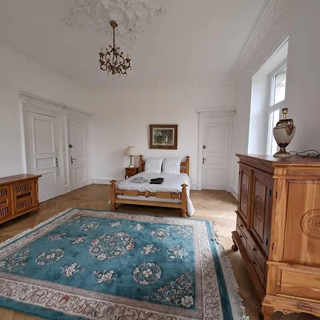 Charmante Historique Avec Jardin Apartment